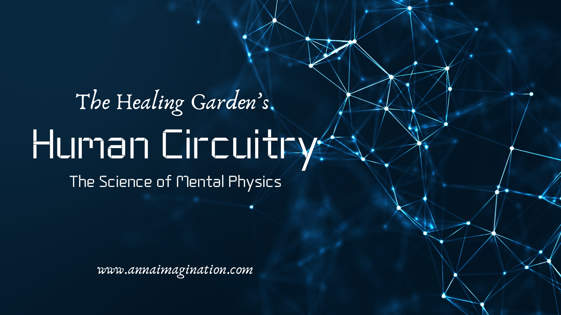 Human Circuitry: Introduction How We Connect